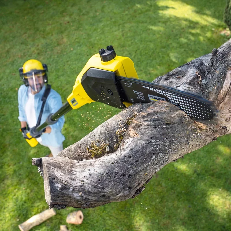 Non stop toaletare, taiere copaci, defrisari arbori, alpinism utilitar.